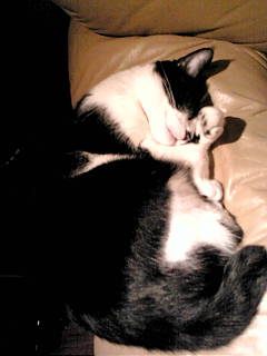20101217200253.jpg